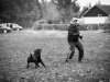 2015_11_01 Hundetrainig Sigmaringen_gleiss-8375 2015_11_01 Hundetrainig Sigmaringen_gleiss-8375